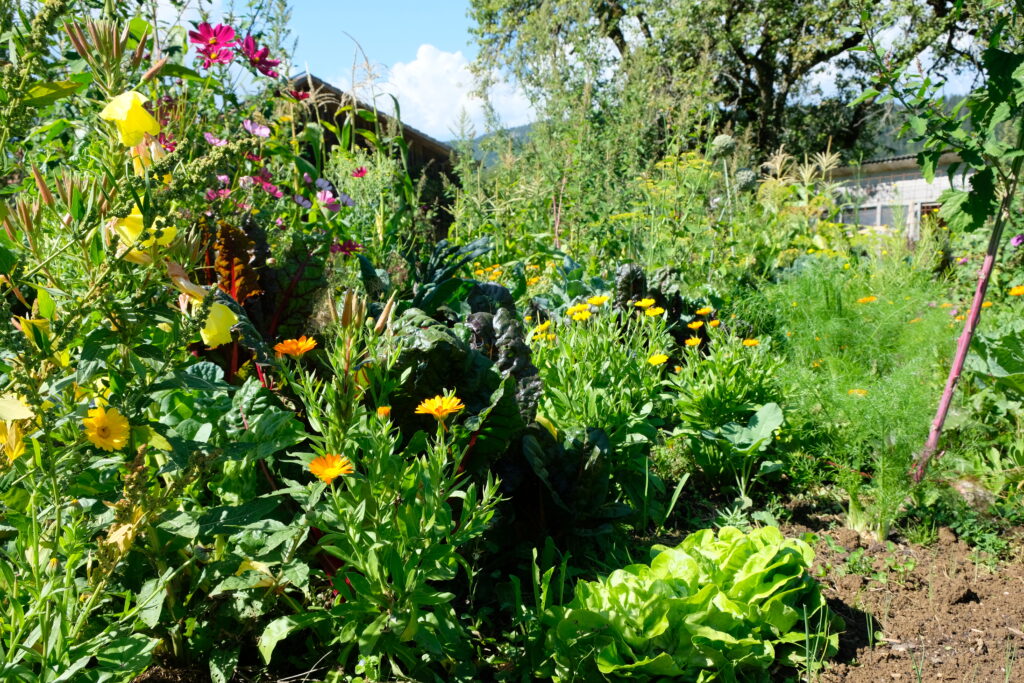 Obst Und Gem Se Domaine Sous Le Mont