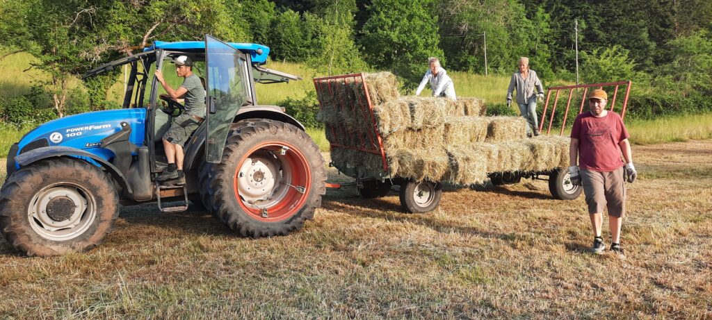 Dieses Bild hat ein leeres Alt-Attribut. Der Dateiname ist Strohballen_laden-1024x461.jpg